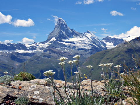 エーデルワイストレイルを歩く