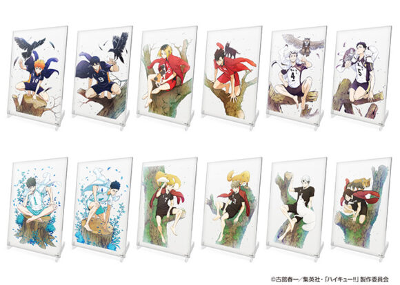 GOODS｜アニメ『ハイキュー!!』公式サイト