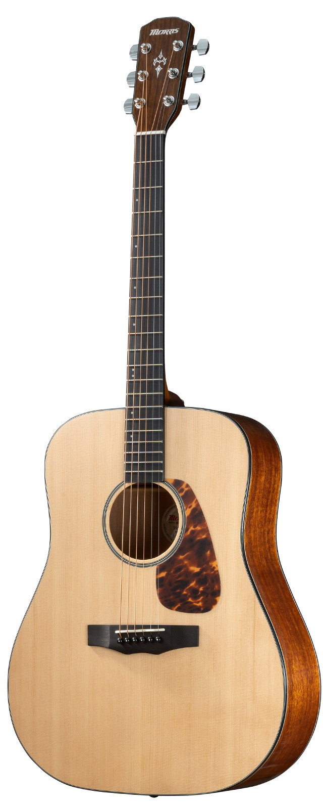 Morris 『M-025』アコースティックギター (スプルース単板/マホガニー