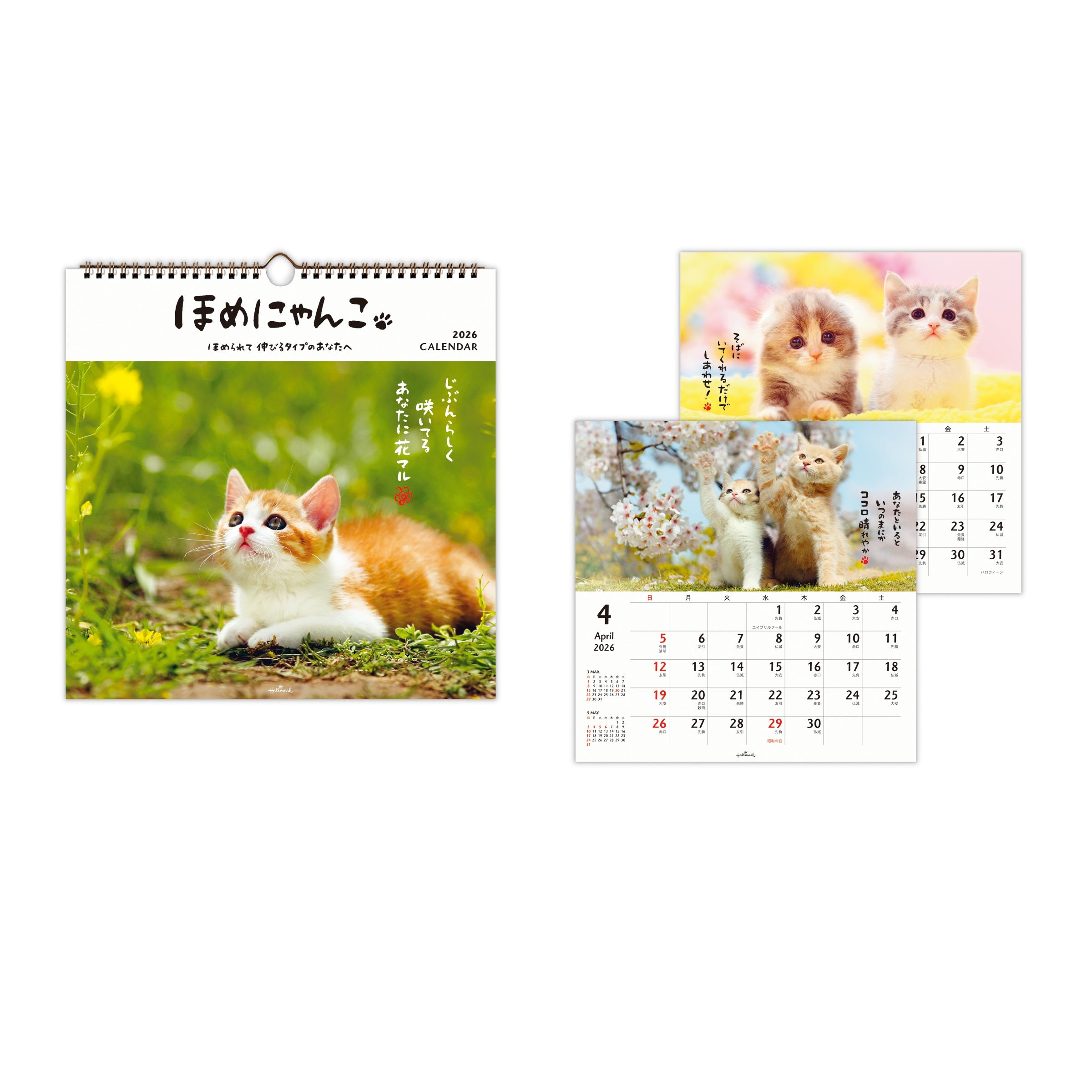ほめにゃんこ【壁掛け｜リングカレンダー大 2026】日本ホールマークの