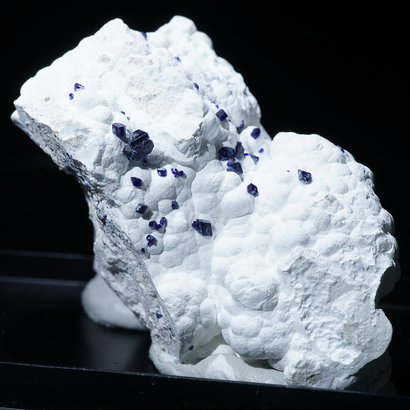 91770-2_800x.jpg?v=1694070968