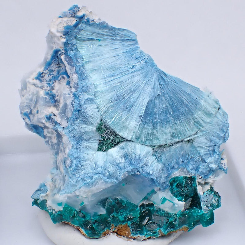 90278-c1_800x.jpg?v=1632978373