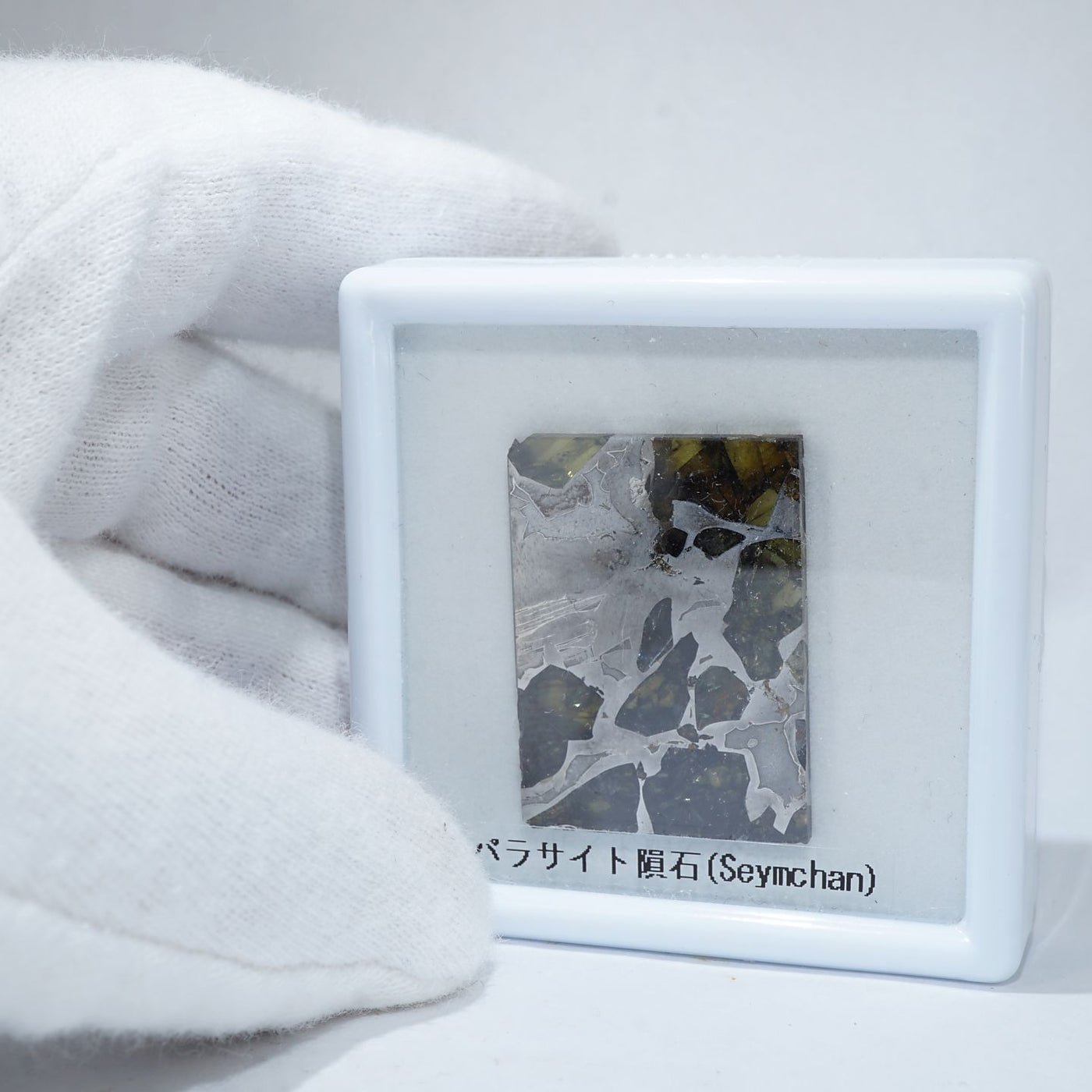 ロシア産 パラサイト隕石(Seymchan)＜天然石 隕石 送料無料＞ – 天然石