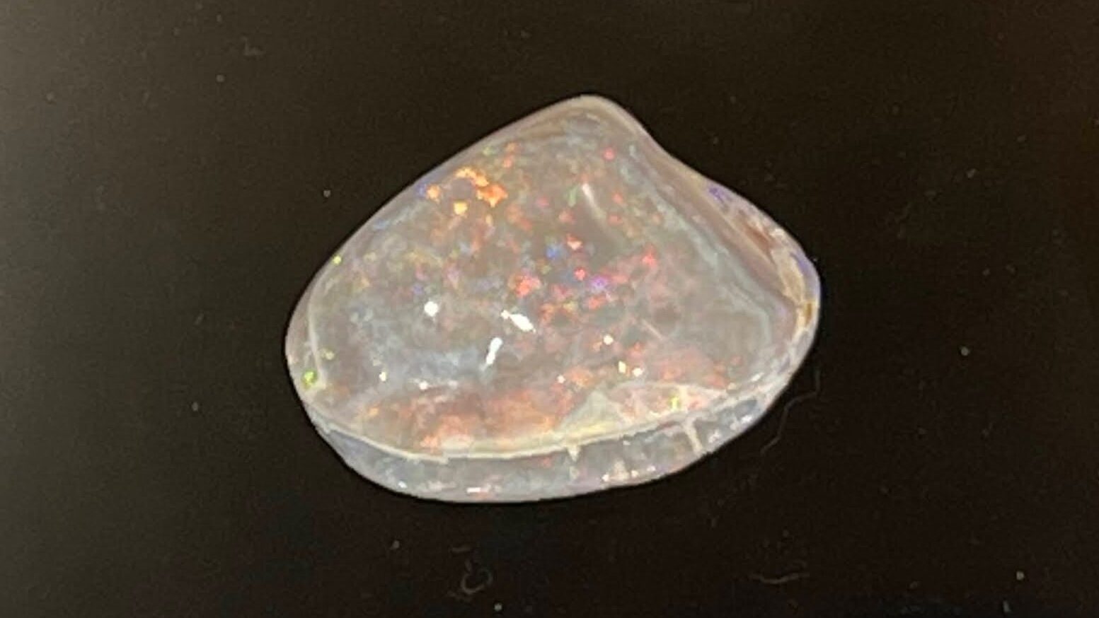 シェルオパール』貝の化石がオパール化？した珍しいオパール