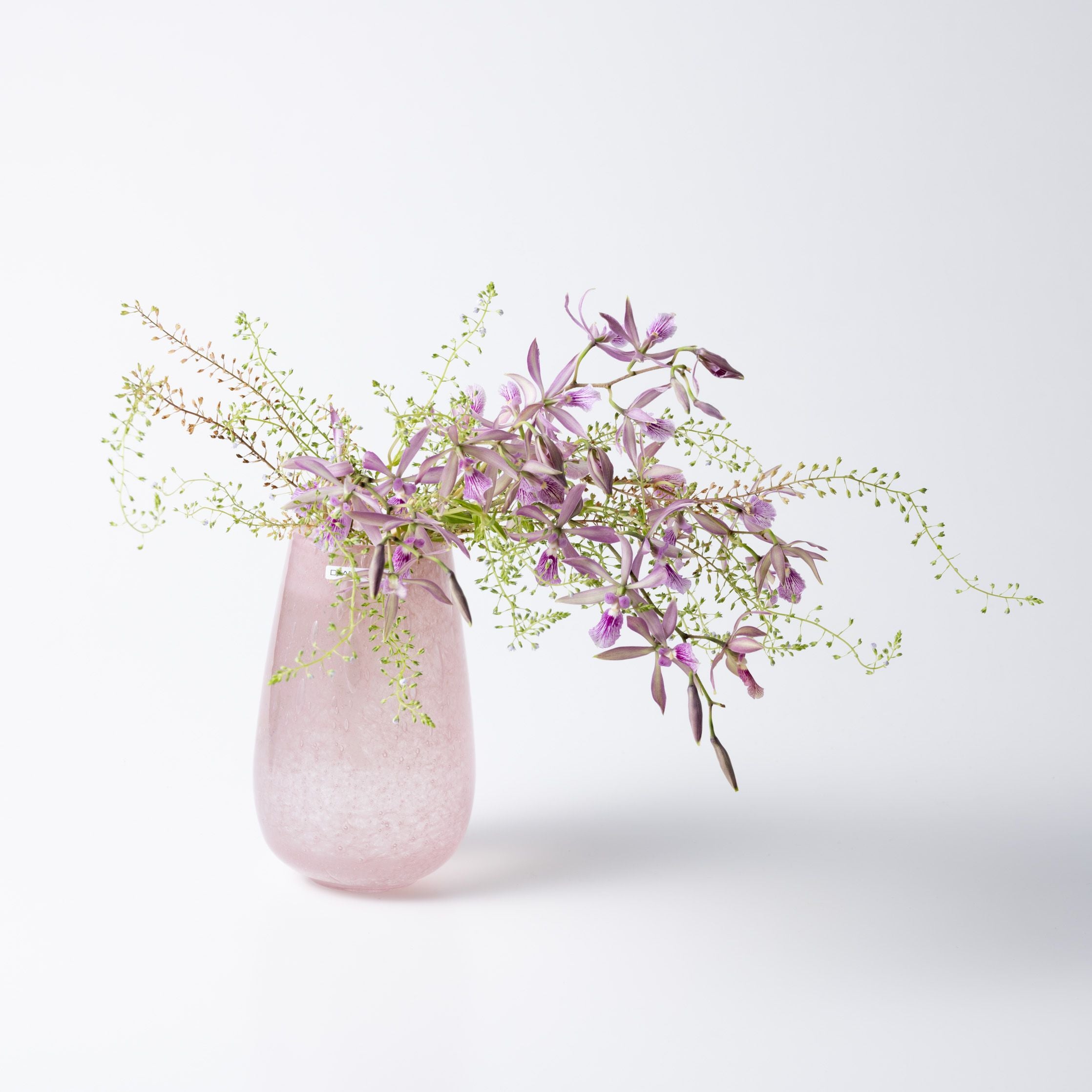 Stromboli XS ブロッサム