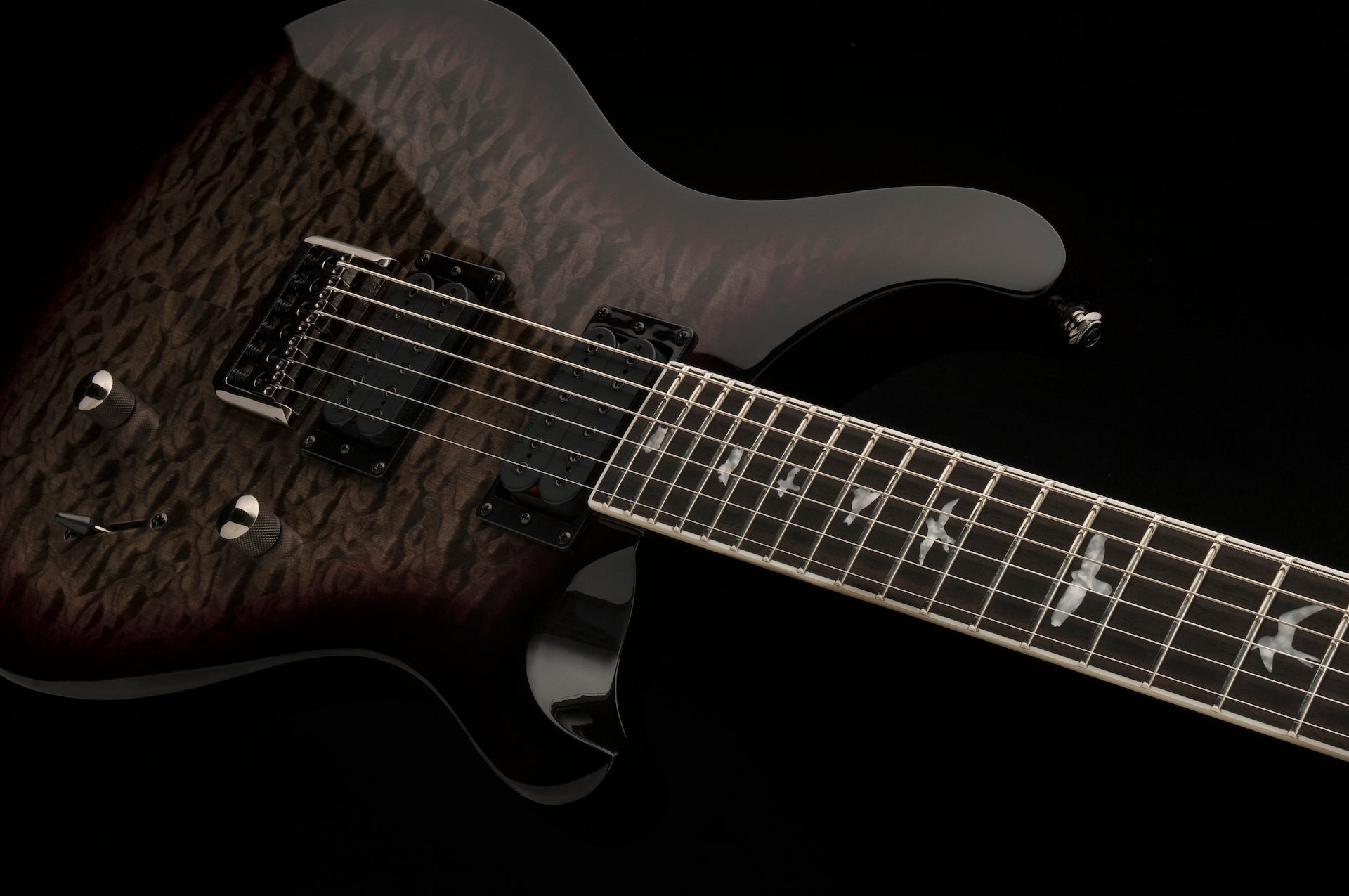 PRS SE Mark Holcomb - Holcomb Burst 6 strings