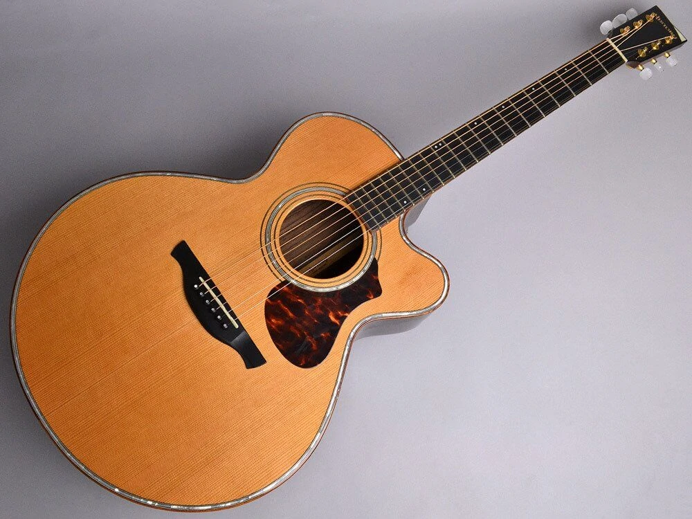 あいみょんの使用ギター、使用機材と弾き語りの難易度・ポイントを解説