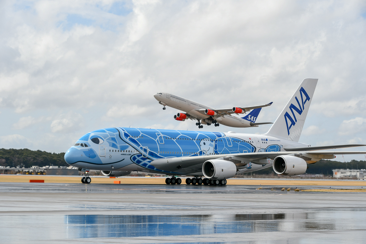 フォトレポート】ANAのエアバスA380「FLYING HONU」が成田空港に到着