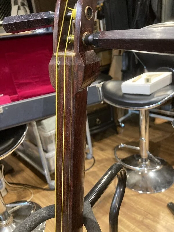 東京クリエイト 中棹 紅木高級三味線 金細 綾杉胴 | HiP-Sound秦野本店