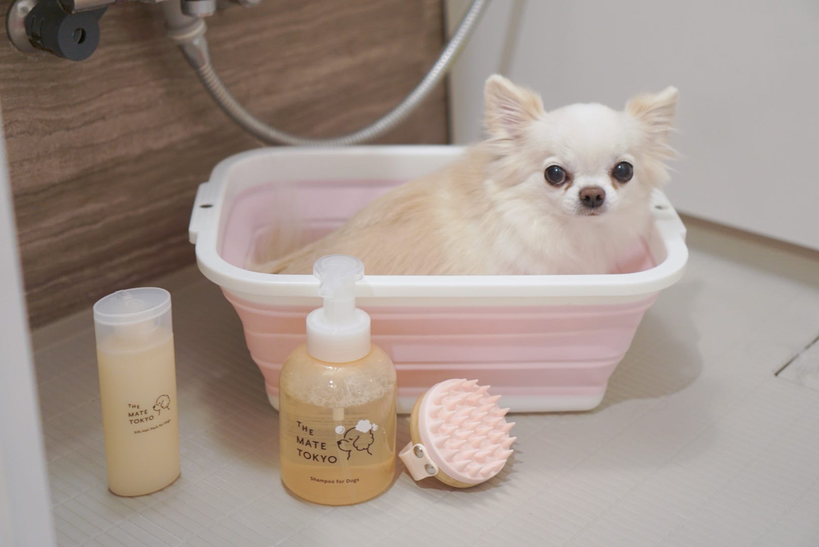 dsc02159-68b569c738903.jpg?