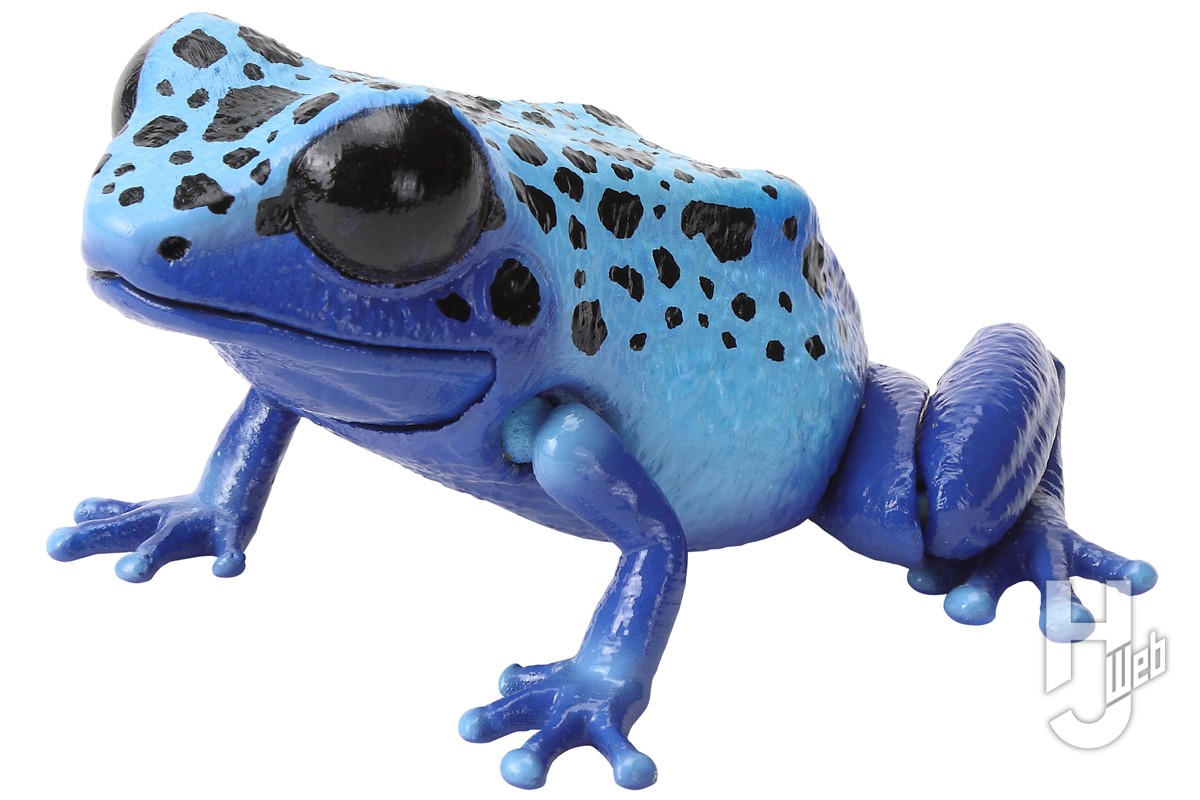 いきもの大図鑑」新作は5種類の「ヤドクガエル」にアルティメットな