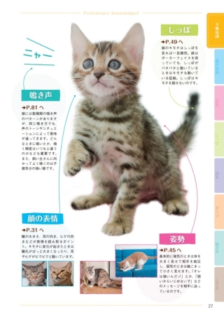 猫語辞典 オールカラー にゃんこのキモチがわかっちゃう！』 ｜ 学研