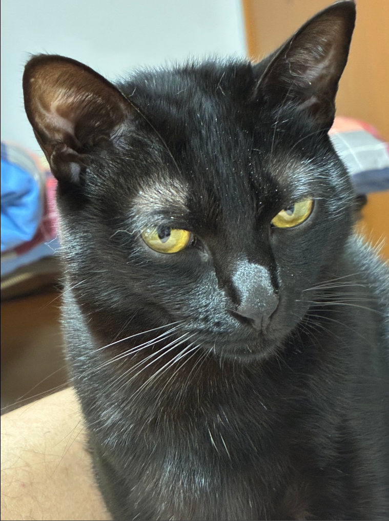 年末年始休暇のお知らせ | 【公式】 株式会社ホンダモビリティ九州