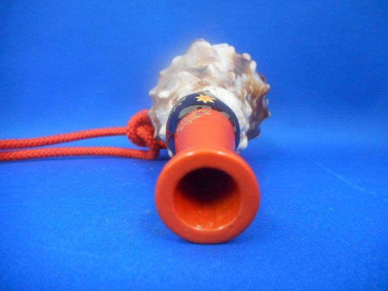 法螺貝（ほら貝）販売のお店