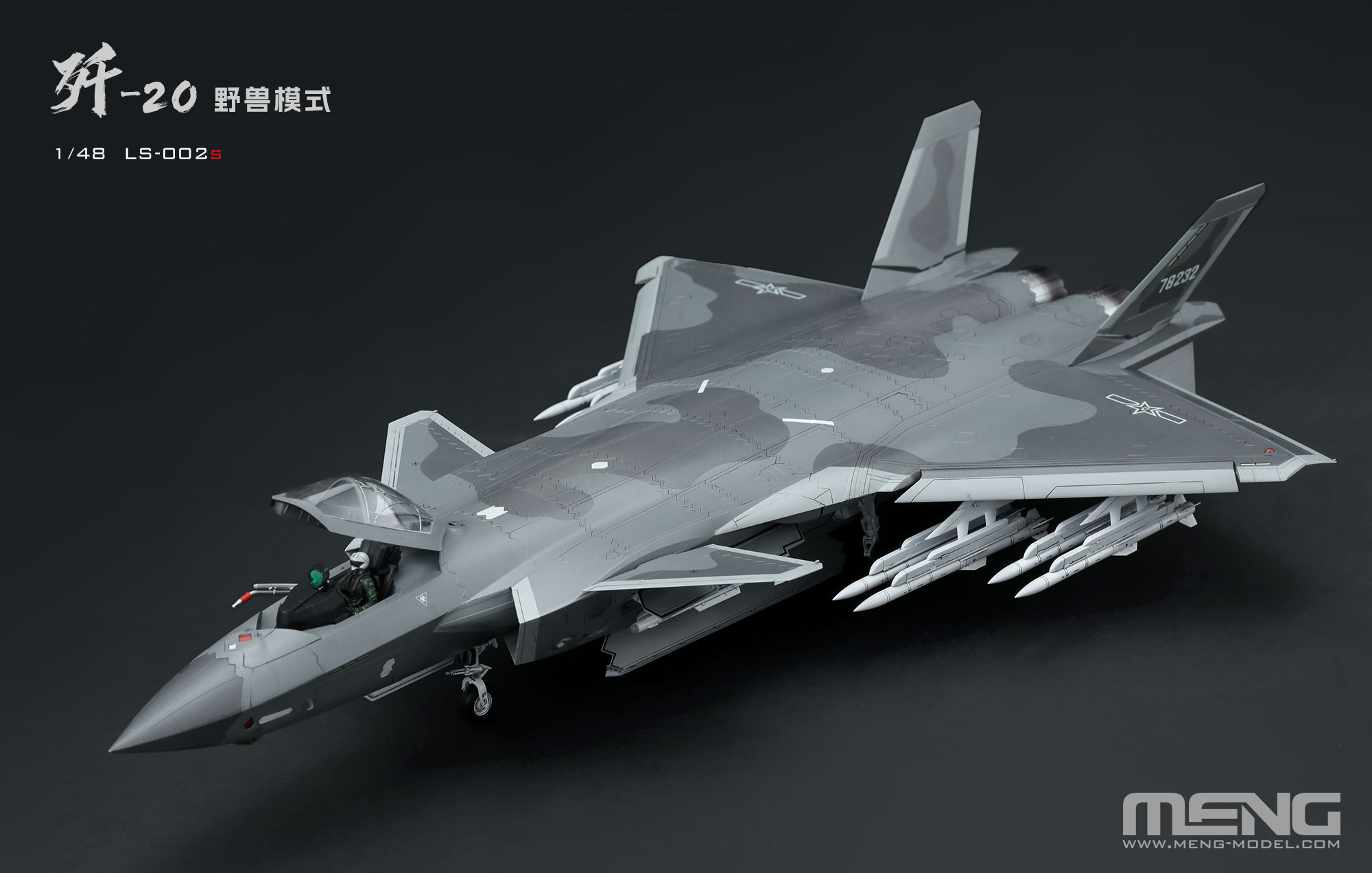 1/48 J-20 ステルス戦闘機 ビーストモード [MLS-002S] - 13,200円