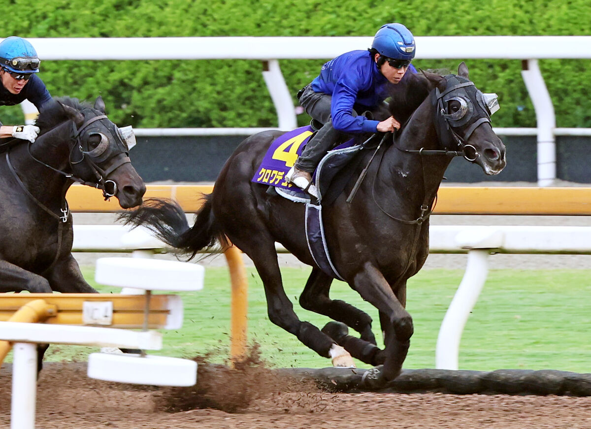 日本ダービー1週前】クロワデュノールが上昇ムード 北村友一騎手