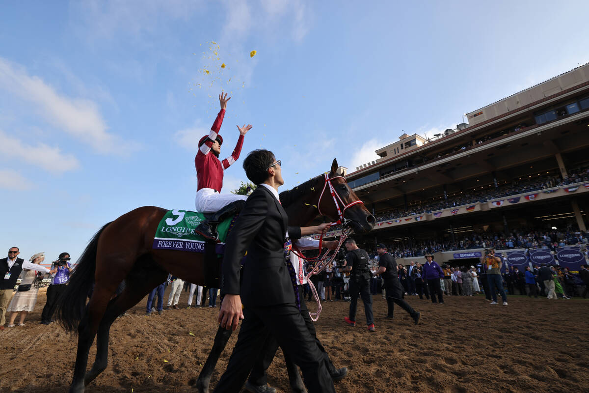 フォーエバーヤングに出会うのが、今の自分には早いんじゃないか