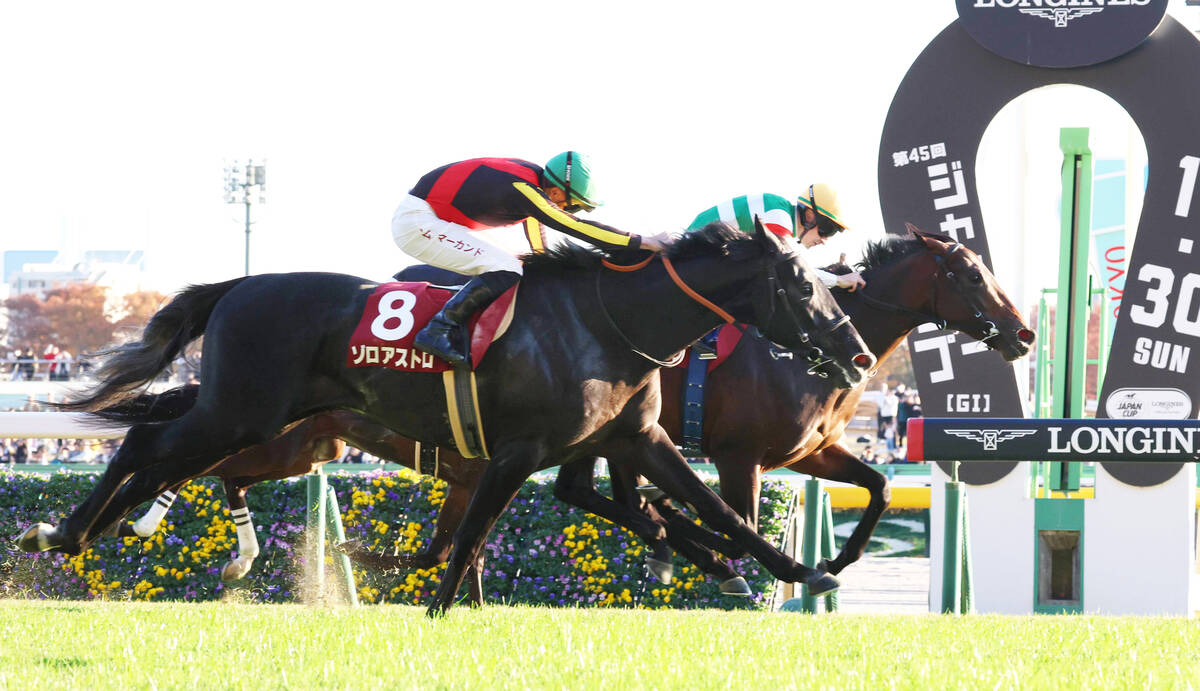 東京スポーツ杯2歳S】パントルナイーフが出世レースV イク