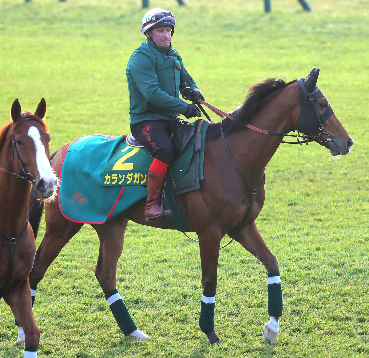 ジャパンC】欧州最強馬・カランダガンは軽めの運動で軽快な動き 陣営
