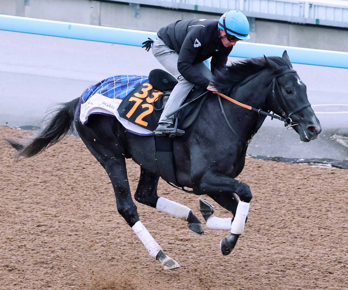 東京スポーツ杯2歳S・追ってひと言】イクイノックスも制した出世