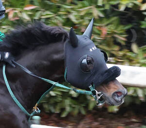 マイルCS過去の名勝負】13番人気の伏兵がレコードVの大仕事！「馬