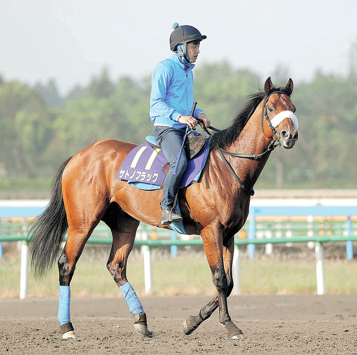 日本ダービー】武豊騎手、無敗3冠導いたディープインパクト産駒サトノ