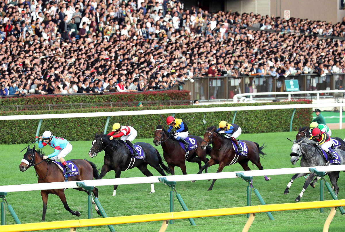 コントレイルの3冠挑戦が観戦可能に！ 10月10日からJRAの競馬