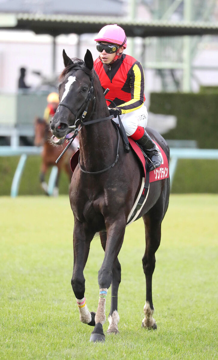 阪神C】ソングラインはまさかの15着 桜花賞と同じ着順に池添謙一