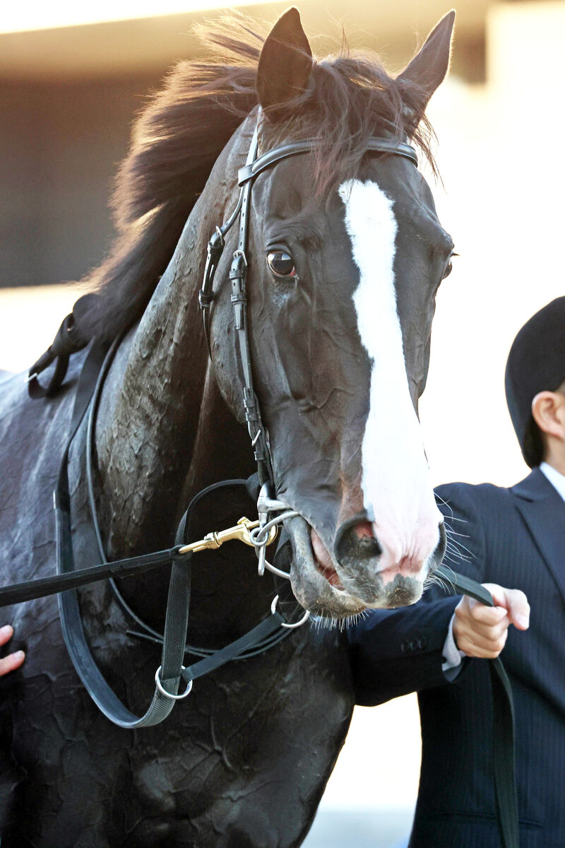 3・25ドバイワールドカップデーに出走のイクイノックスなど日本馬
