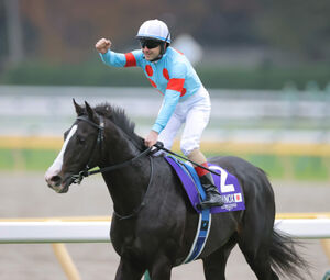 最強のまま引退」「種牡馬入り」イクイノックス電撃引退で関連ワードが