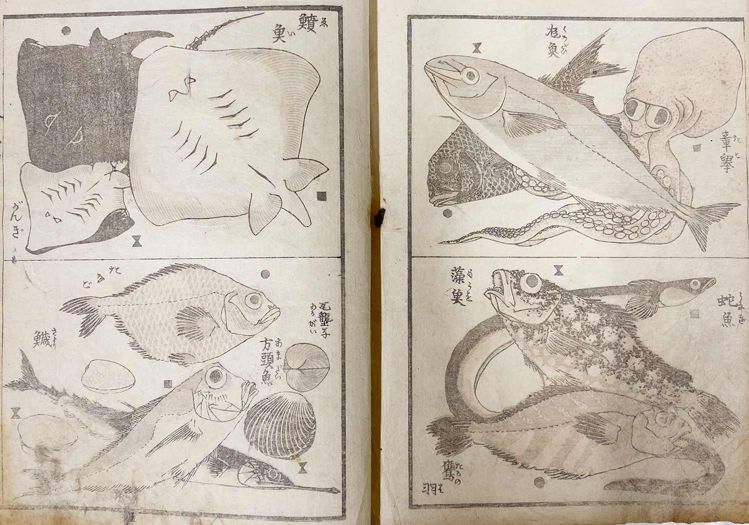 北斎の描く、 神秘的な海の世界へ | 小布施 北斎館