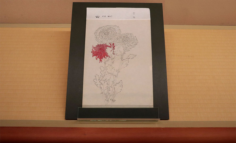 北斎と鴻山、 それぞれが描いた菊 | 小布施 北斎館