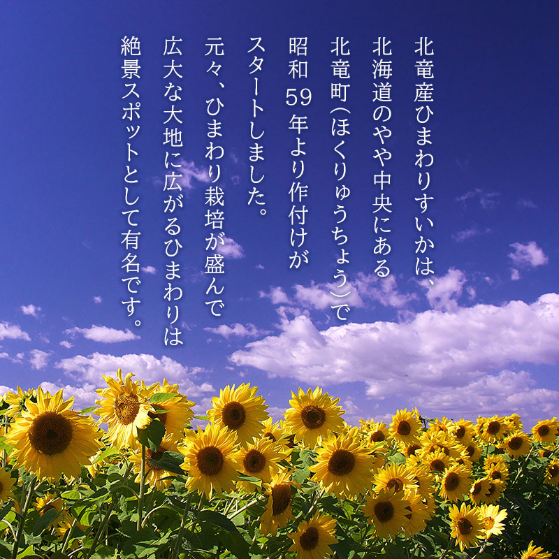ひまわりスイカ 北竜町