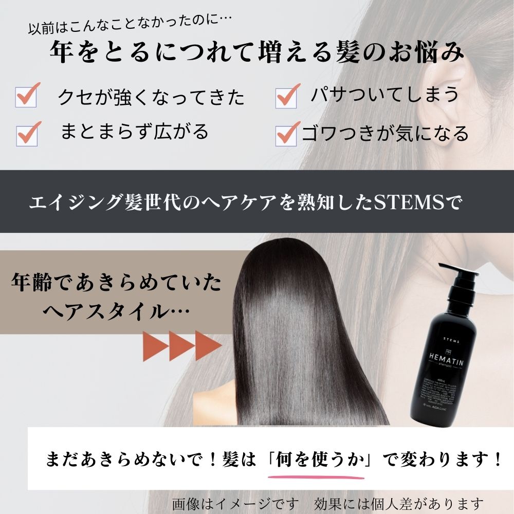 ステムエス ヘマチンシャンプー – HOLISTIC JAPAN|ホリスティック