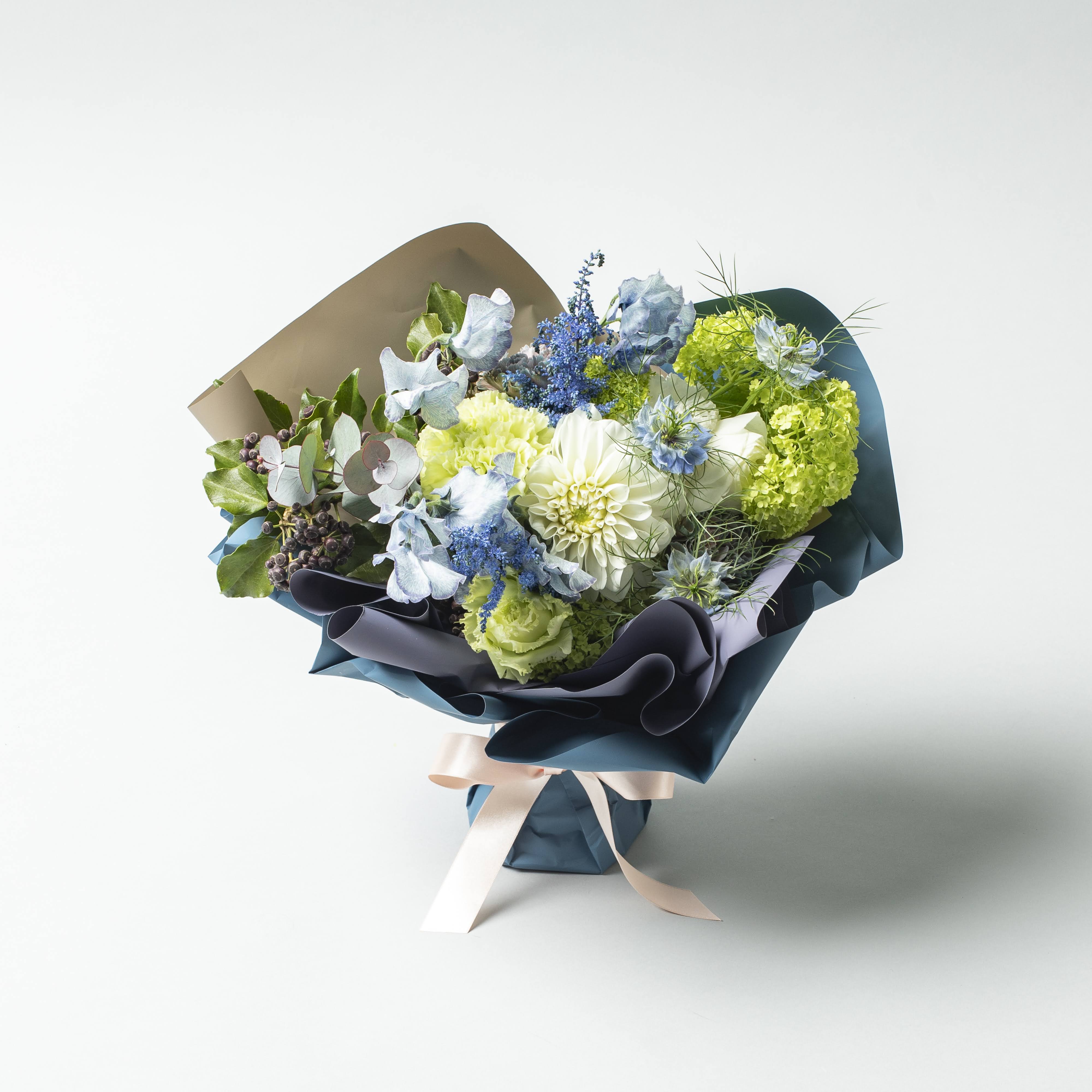 HOSHINO ONLINE SHOP / HOSHINO SET UP! type P