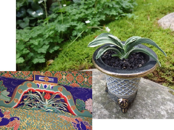 豊明園 / TOPページ