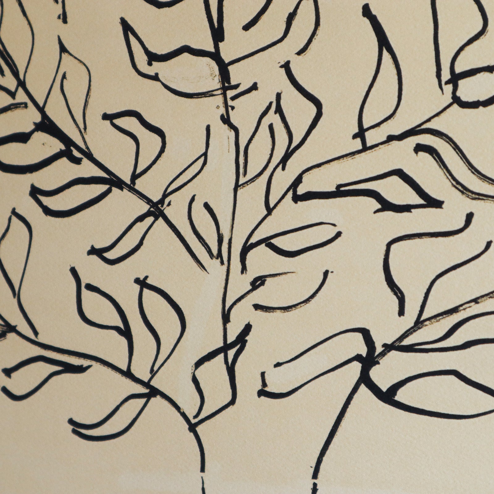 アンリ・マティス 「低木」アートポスター｜モダンインテリアに合う線