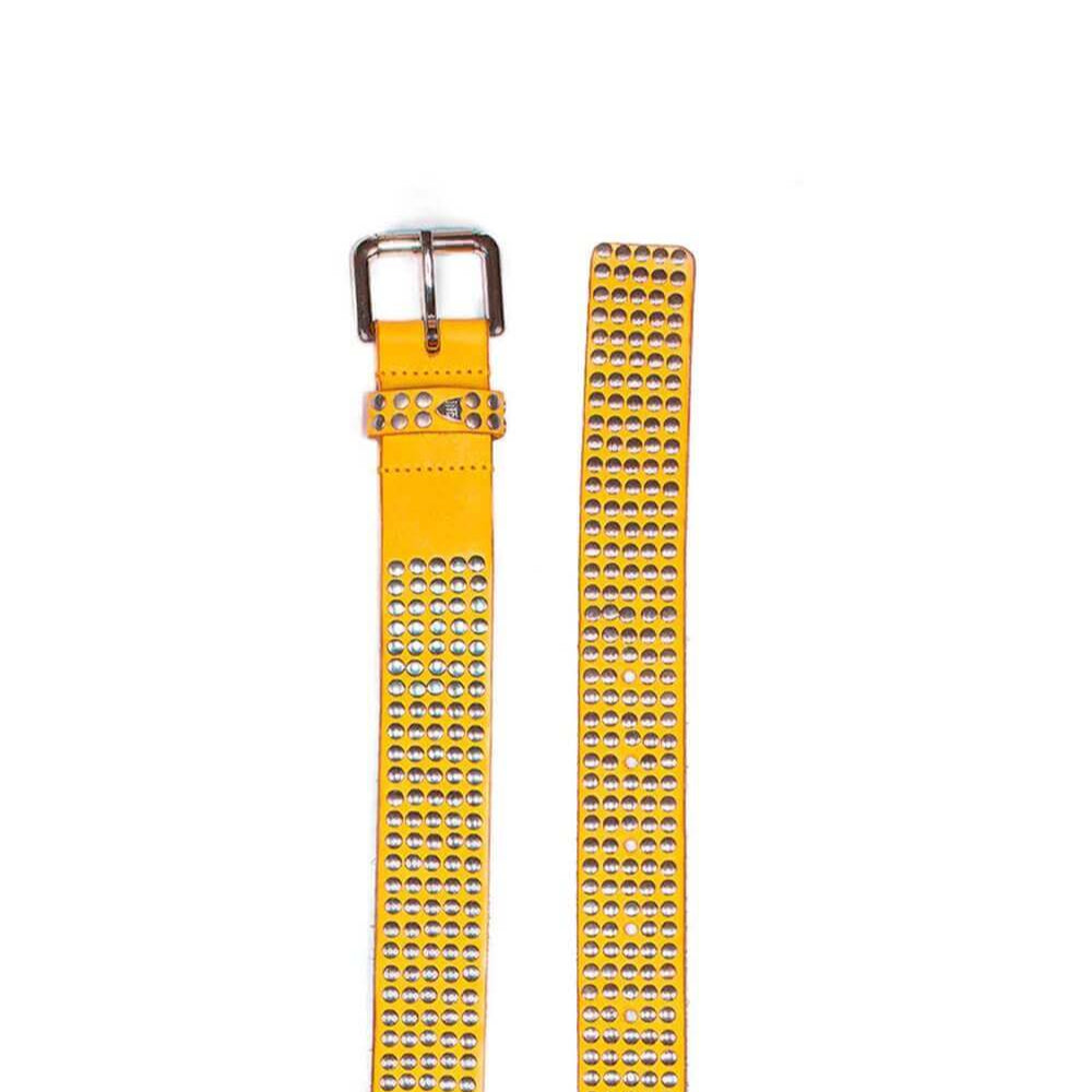 5.000 STUDS COLOR BELT Hollywood Trading Company