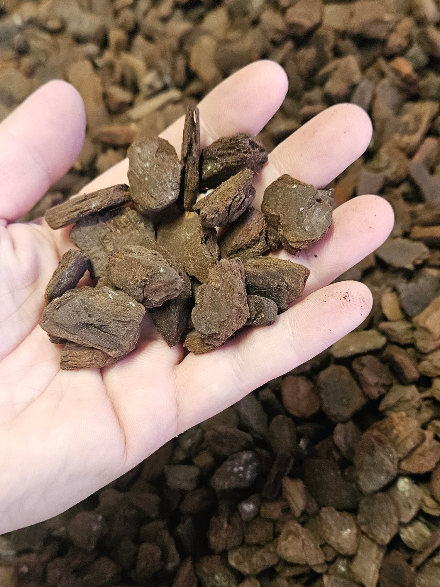 Orchiata Super (18-25mm)(3/4