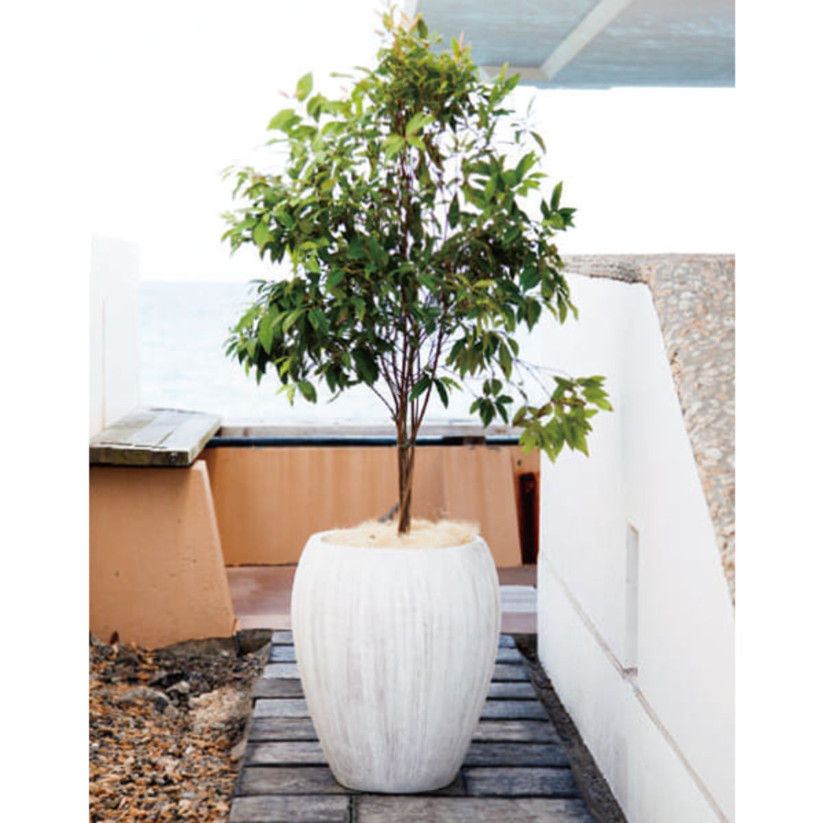 コーテス ジャー｜ヤマテーのガーデンプランター