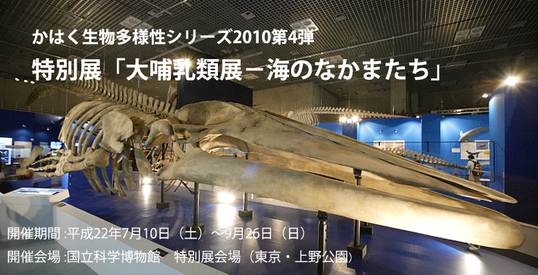 多様性生物希少標本ネットワーク ”a specimen room 標本室”