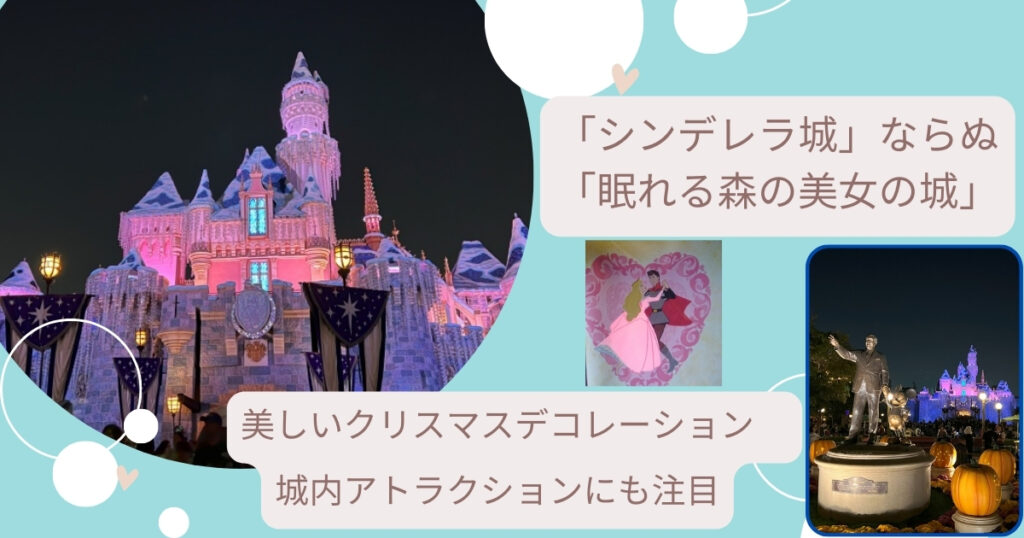 Disney WDWキャスト限定 DLR眠れる森の美女の城 ピンバッジ Disney WDW