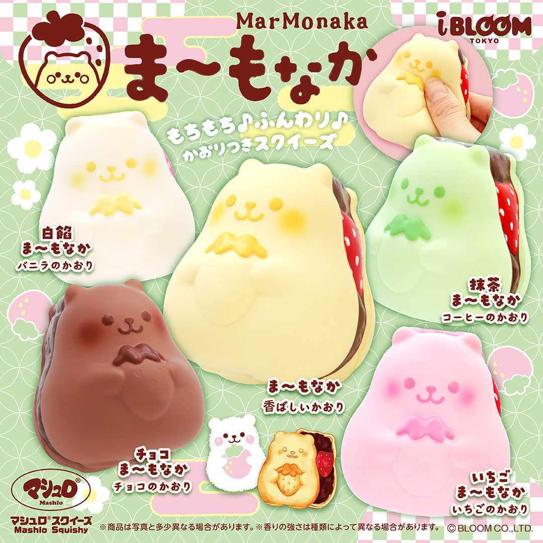 レア オールドブルーム スクイーズ でるぞ みかん (激レア ネコ