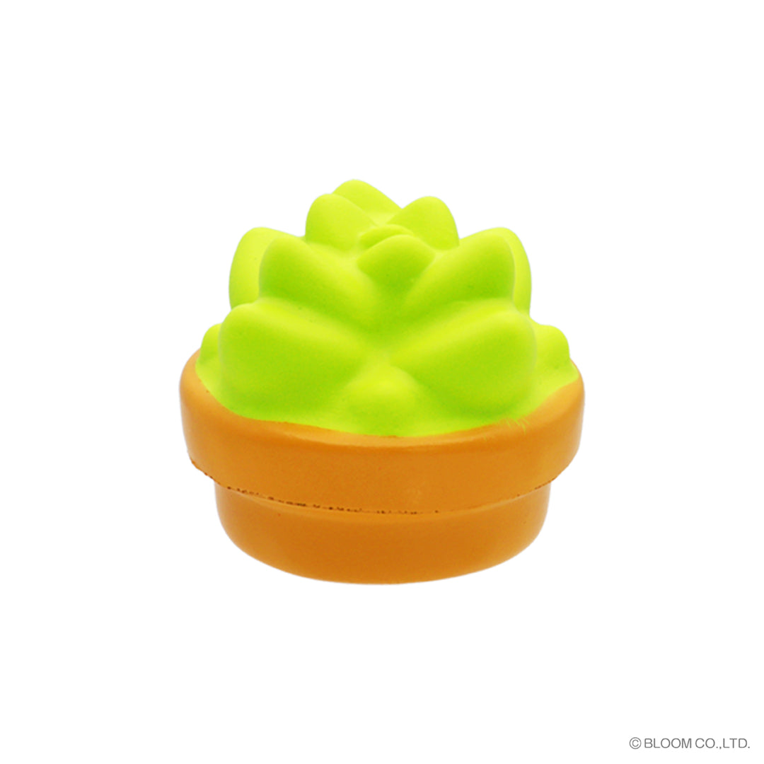 カプセルトイ］もちもち多肉植物_全種セット – i-BLOOM SQUISHY