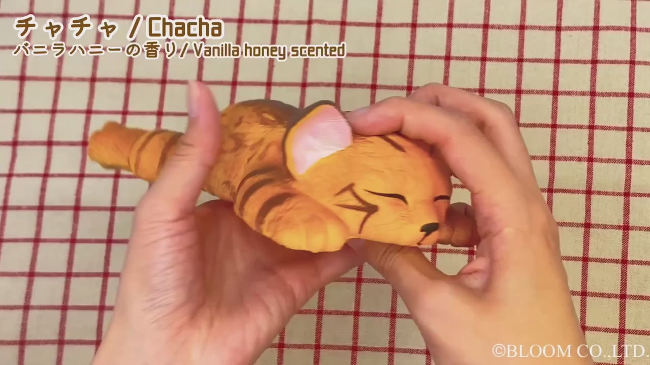 ウィーアーザキャット のびネコ – i-BLOOM SQUISHY OFFICIAL SHOP