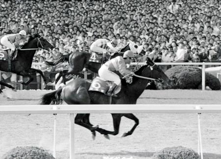 シンザン最高傑作のミホシンザン死亡/競馬・レース/デイリースポーツ