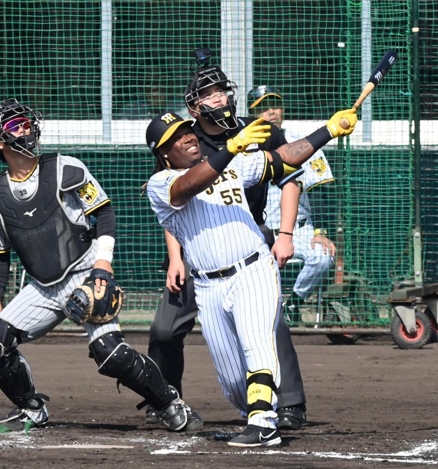 阪神・岡田監督 ミエセス一発にも激辛評価「フリーバッティングは
