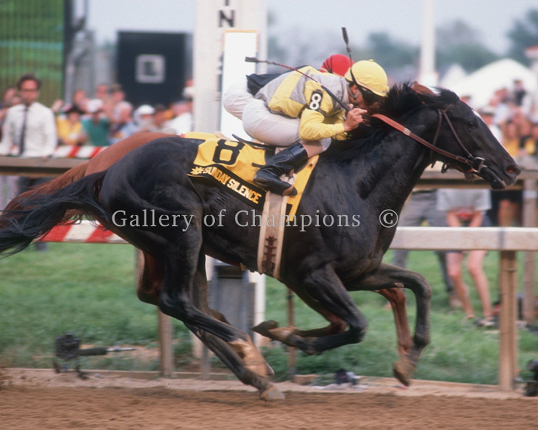 サンデーサイレンス / イージーゴーアー 1989年プリークネス