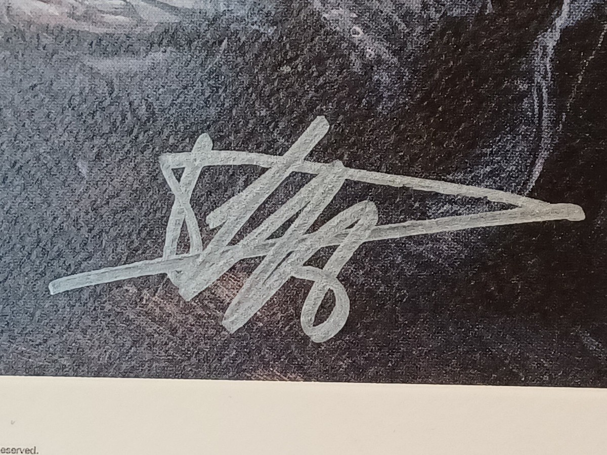 GABRIELE DELL'OTTO BLACK PANTHER SIGNED 9.5×13.5 Inch ART PRINT