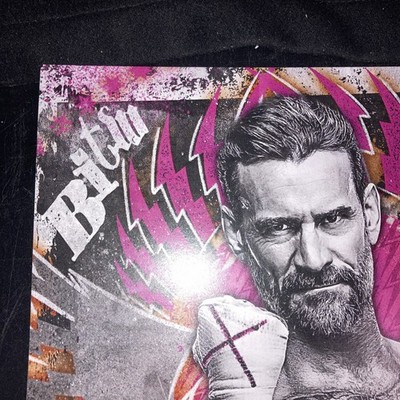 Official CM Punk Signed 11x14 Photo WWE Raw Voice Of The Voiceless